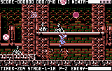 NinjaGaidenIII_4.png