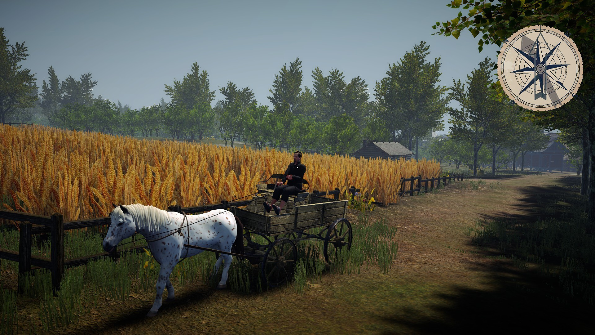 RiseOfTransport_5.jpg