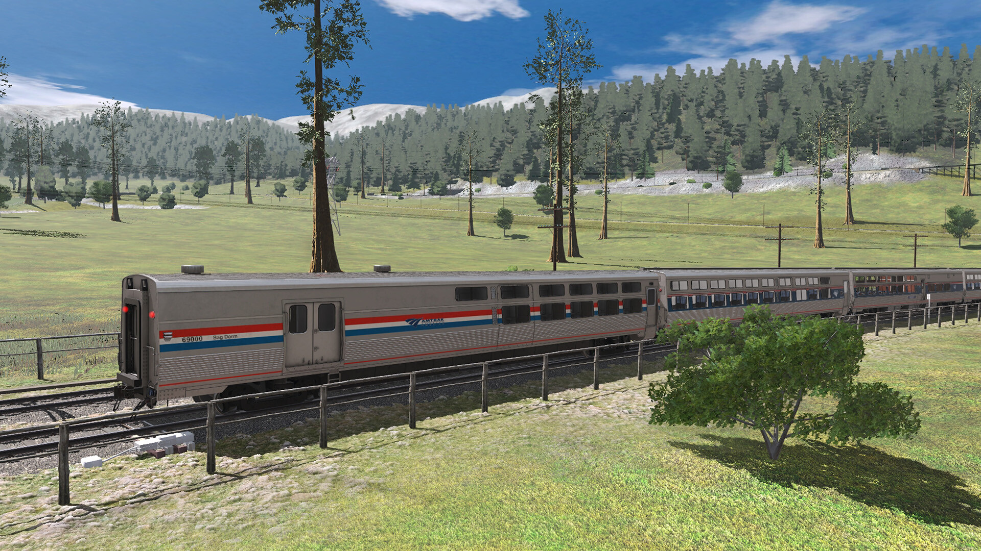 Trainz22_AmtrakViewliner_6.jpg