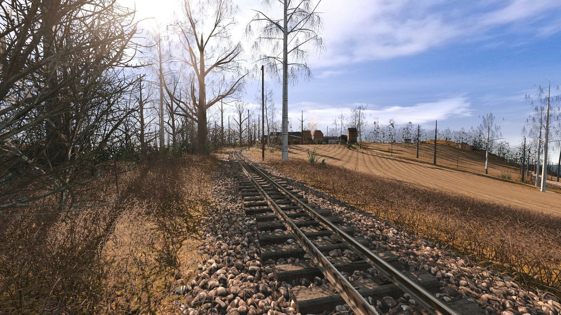 Trainz22_Swedaryn_3.jpg
