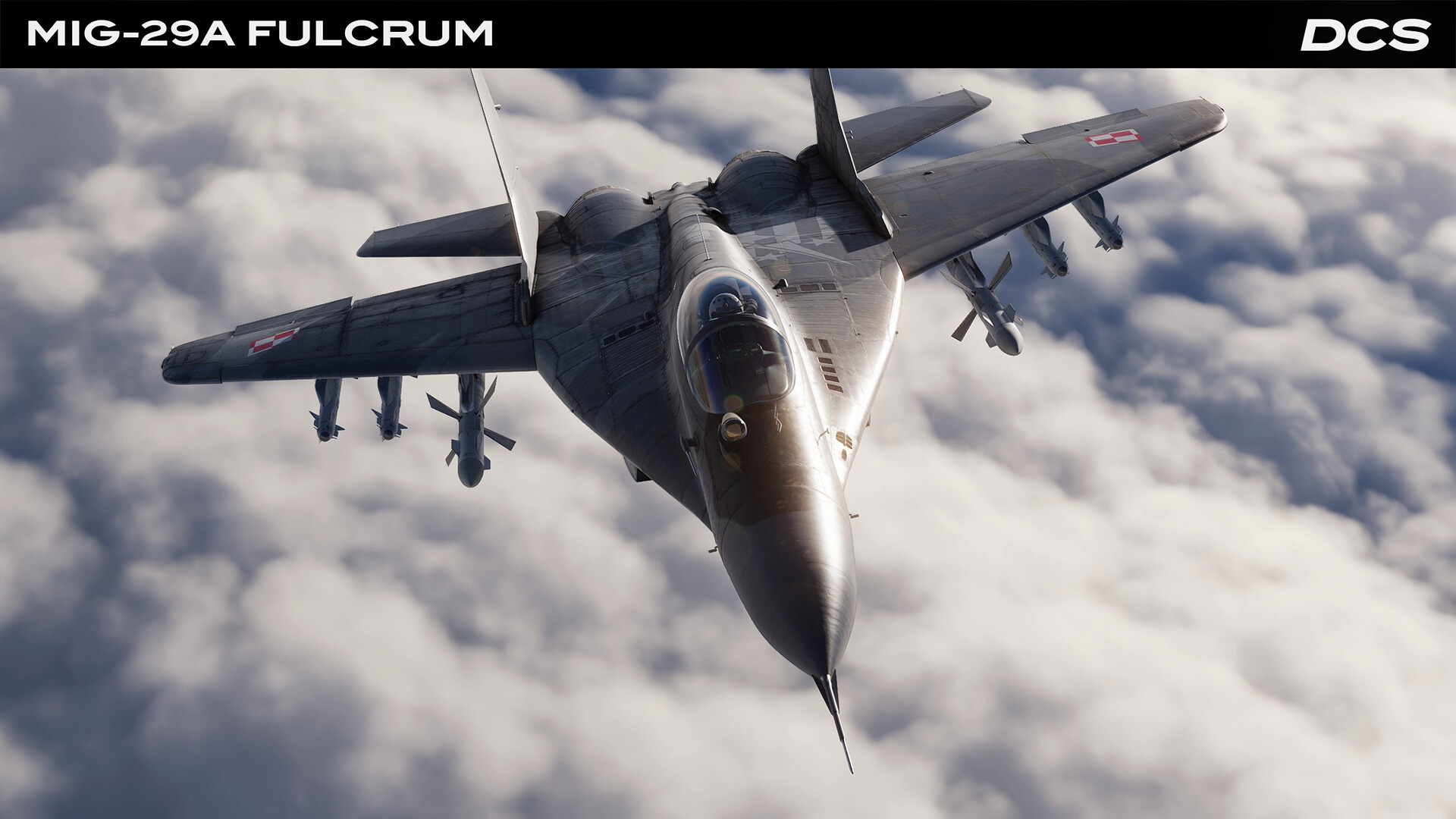 DCS_Mig29A_2.jpg