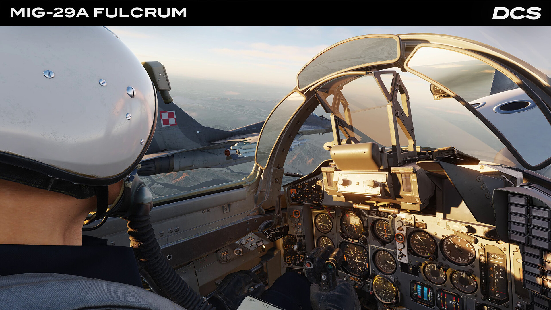DCS_Mig29A_3.jpg