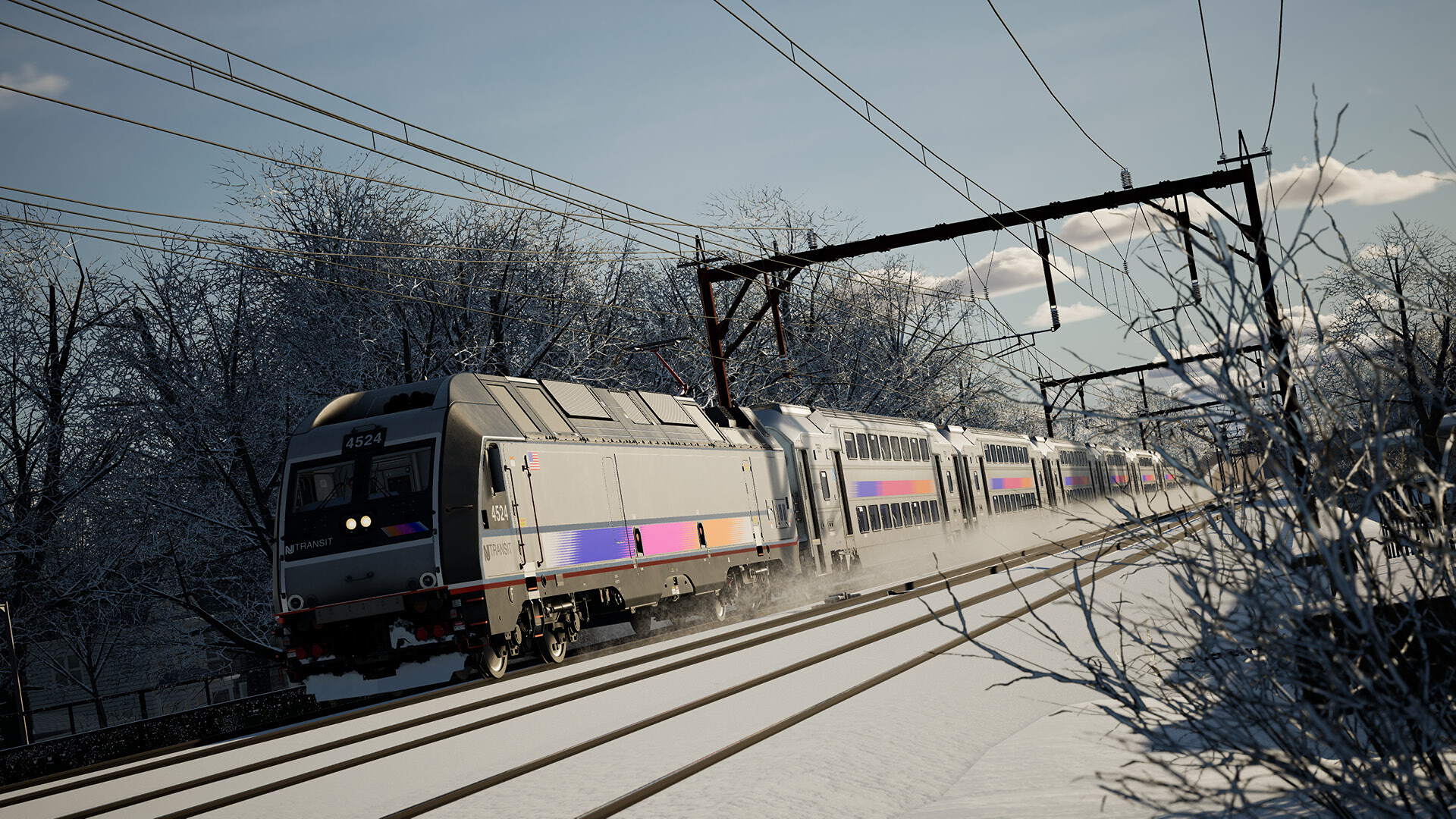 TSW6_ALP-45DP_4.jpg