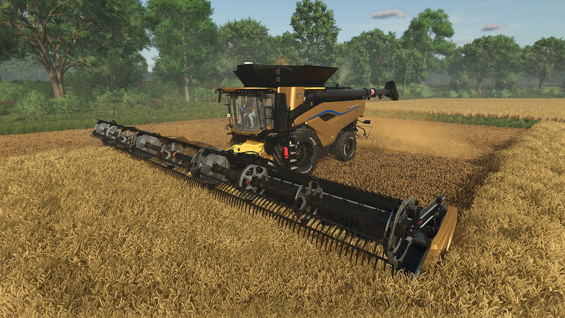 FS25CR11Gold_4.jpg