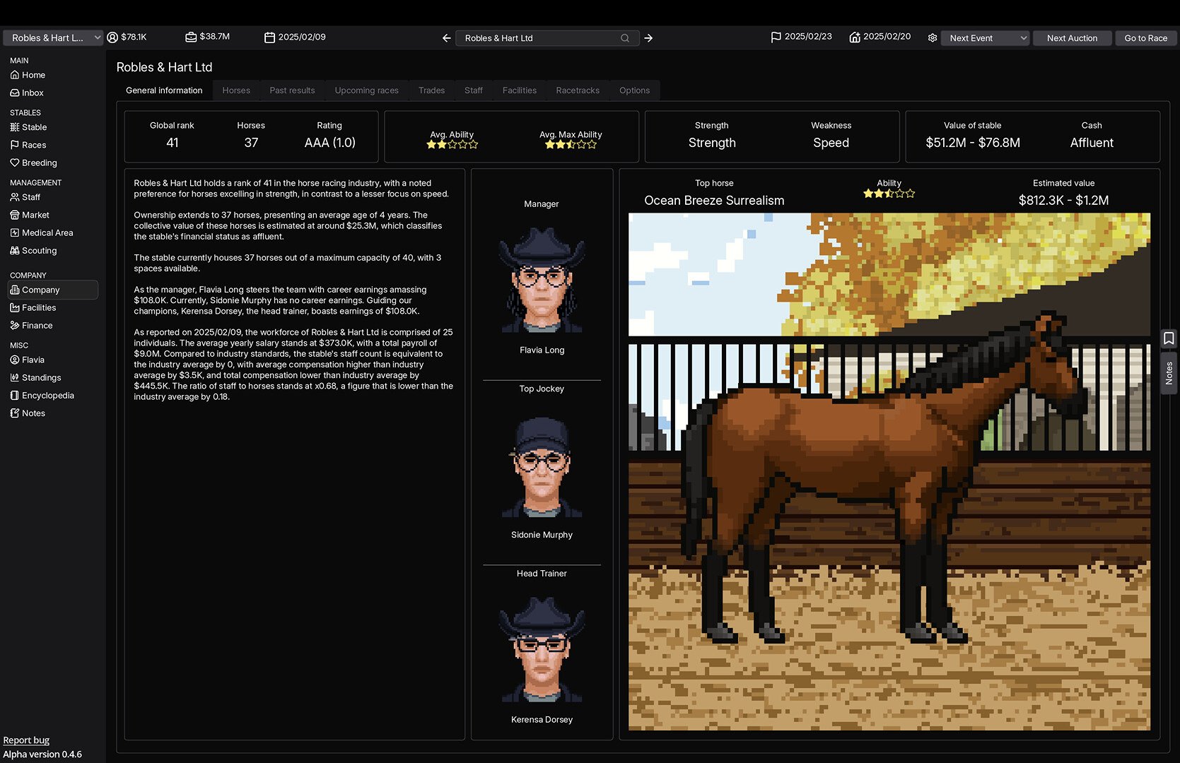 HorseRacingManager_2.jpg