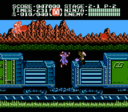 NinjaGaiden2_4.png