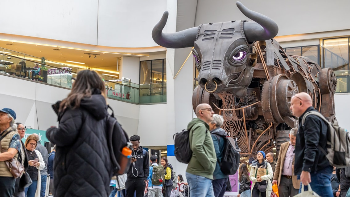 Birmingham Braces for Record Crowds as Black Friday Travel Surges