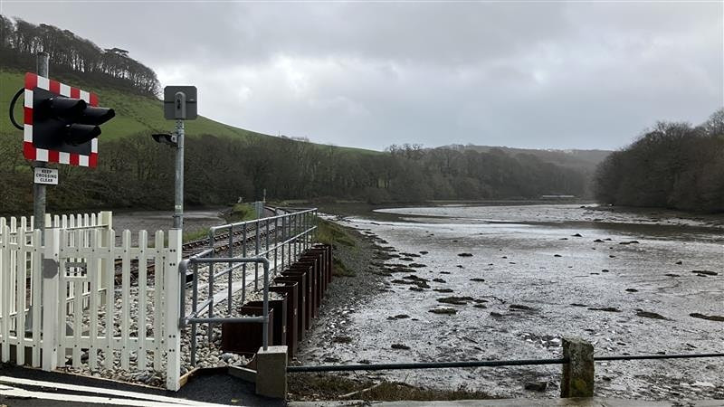 Major Vegetation Work to Close Looe Valley Line for 11 Days