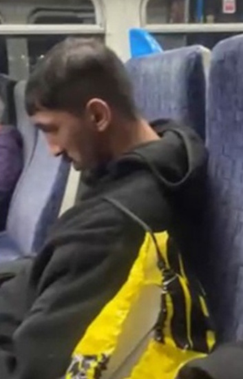 Police Release CCTV Image After Assault on Victoria to Denmark Hill Train