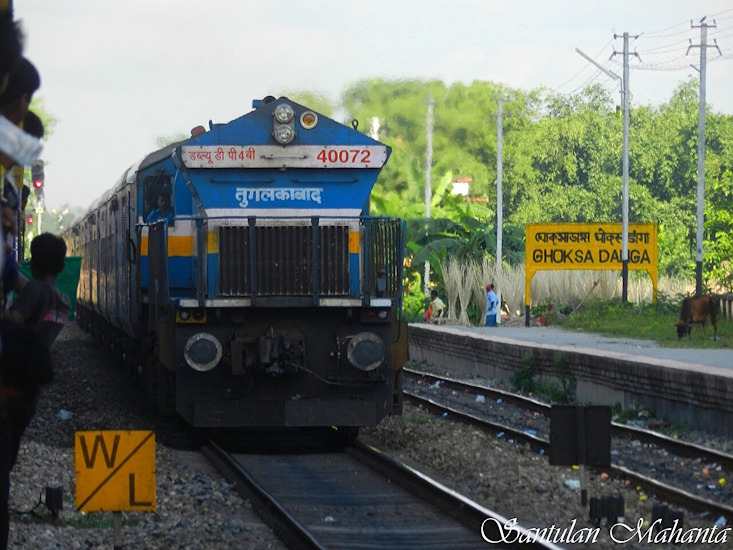 Seven Elephants Killed After High-Speed Train Derails in Assam