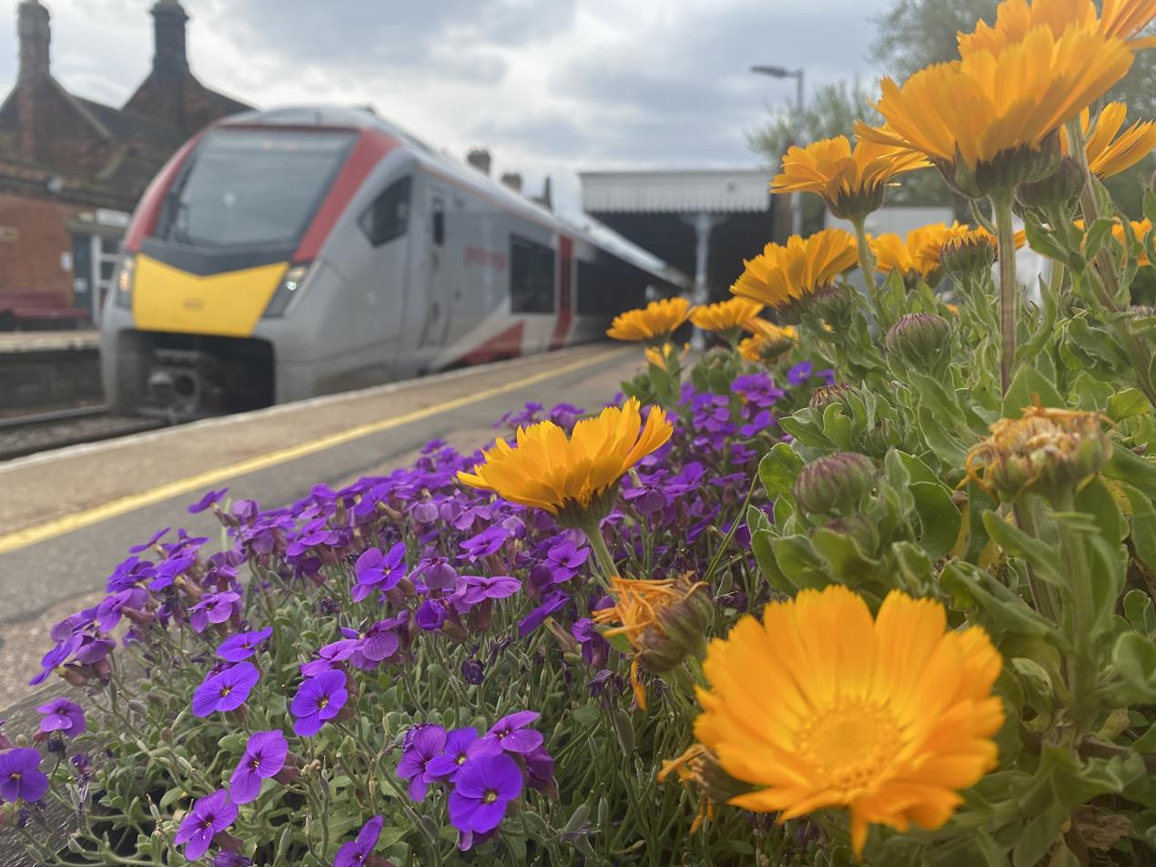 Greater Anglia backs station wildlife project near RSPB Lakenheath-Fen