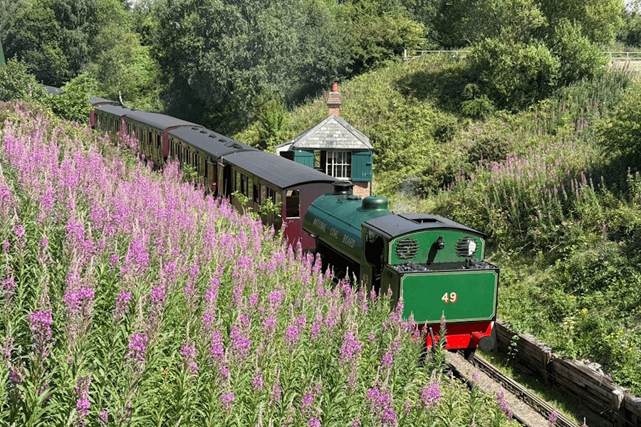 Paddington Bear steam train experience set to return to Tanfield Railway