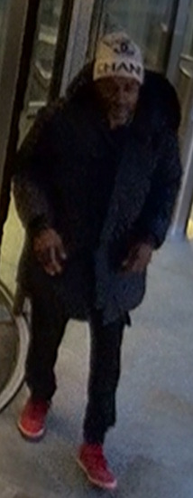 Detectives Seek Man Following Sexual Assault at St Pancras