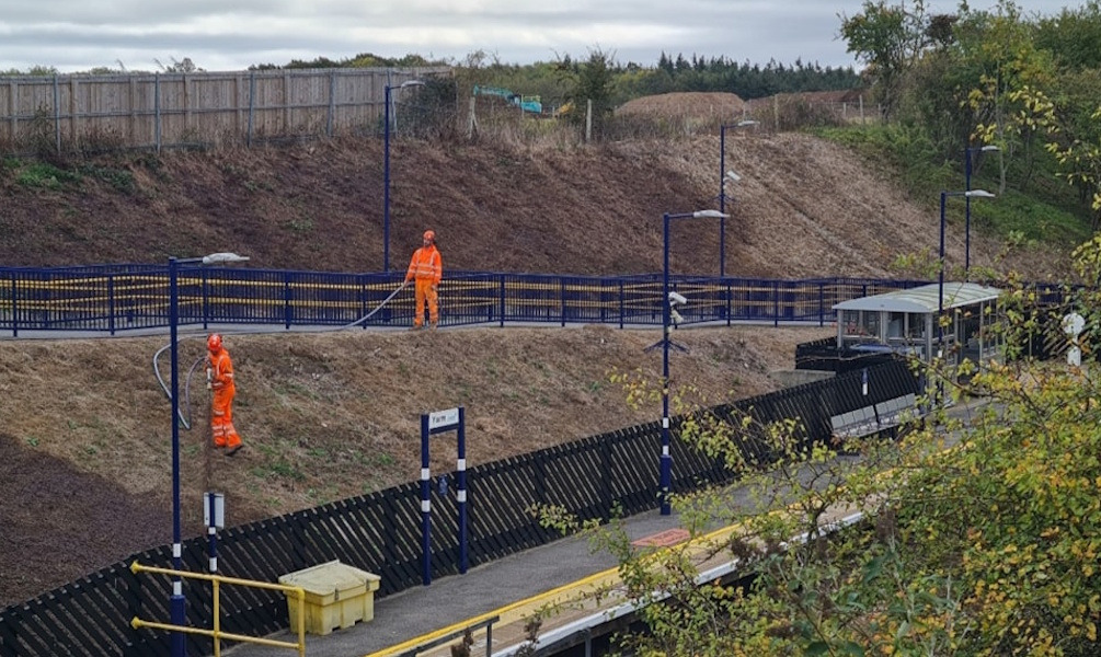 TransPennine Express Boosts Wildlife Habitats at Yarm Station