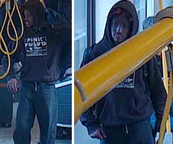 Putney Bridge Sexual Assault Appeal After Woman Targeted On District Line