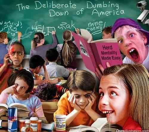 Education for the Dumb
