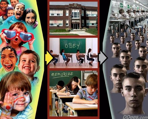 schooling-by-david-dees