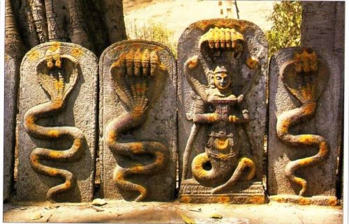 halloween serpent people4