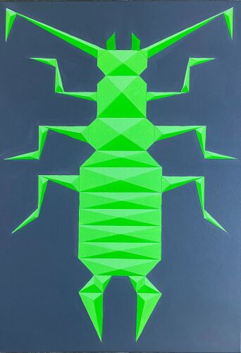 Geometric Insect Study I - A1 Size