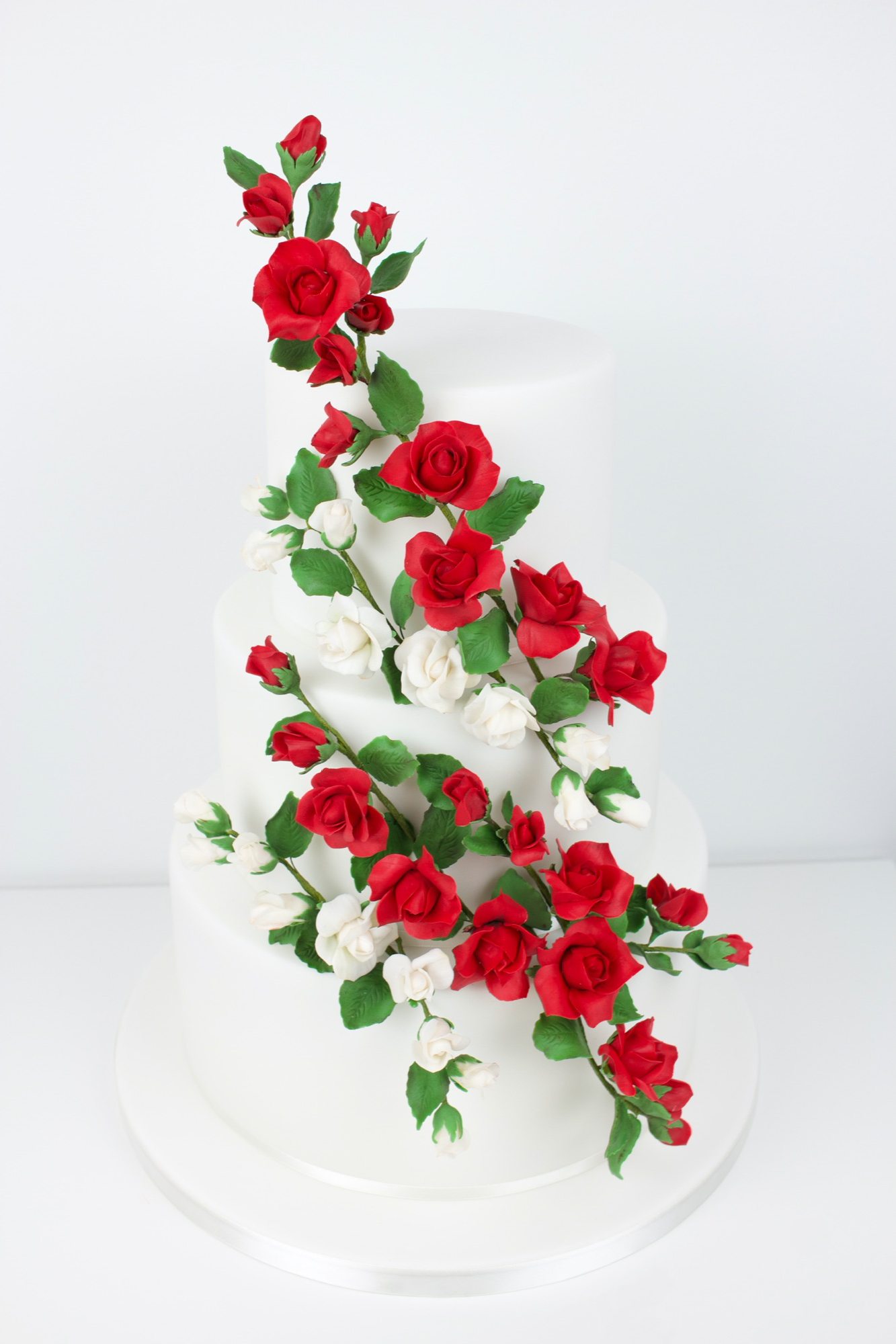 climbing roses