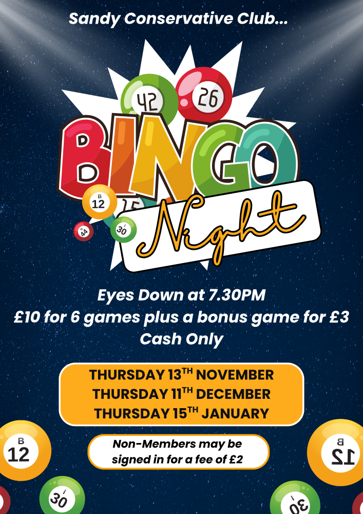 Navy and White Illustrative Bingo Night Flyer