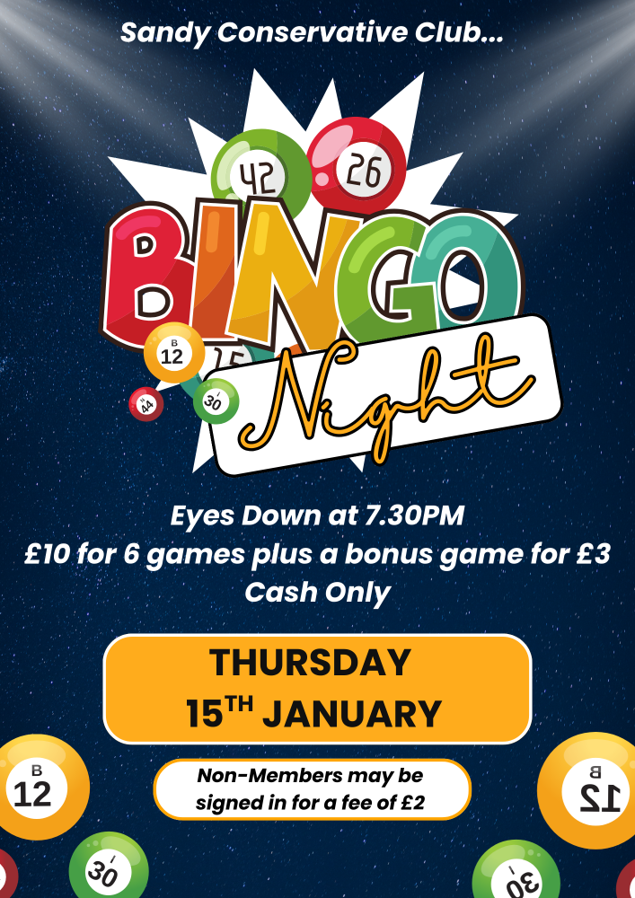 Navy and White Illustrative Bingo Night Flyer (1)