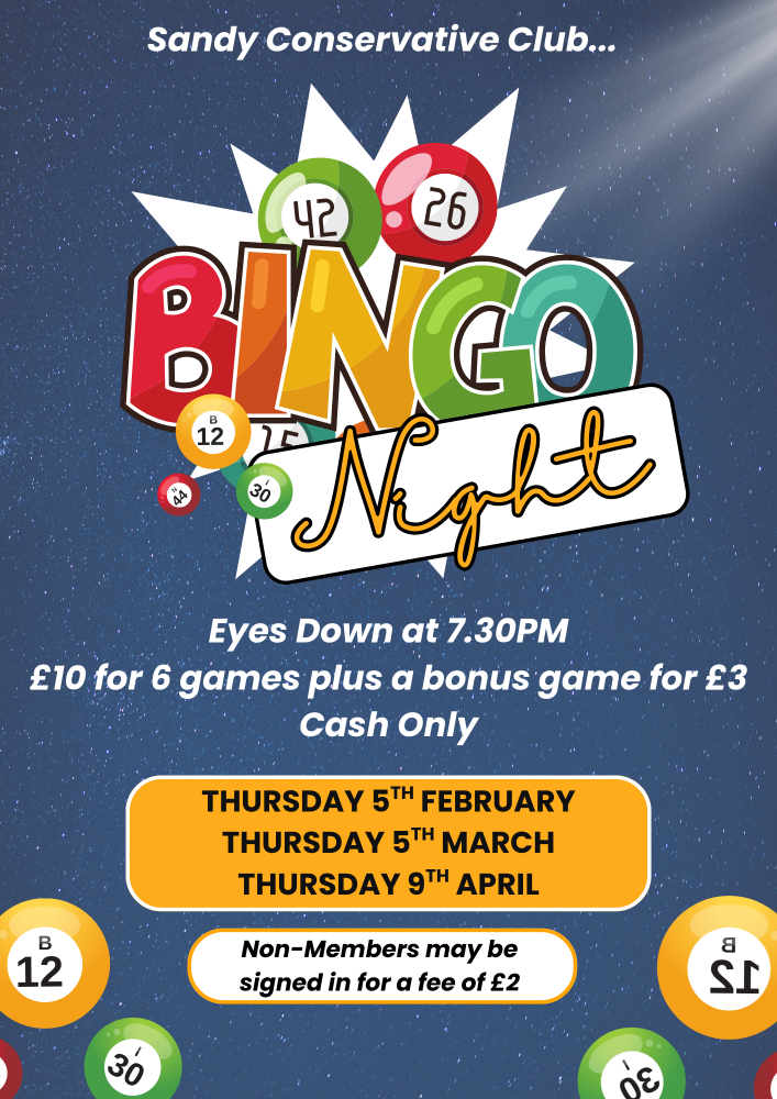 Navy and White Illustrative Bingo Night Flyer (3)