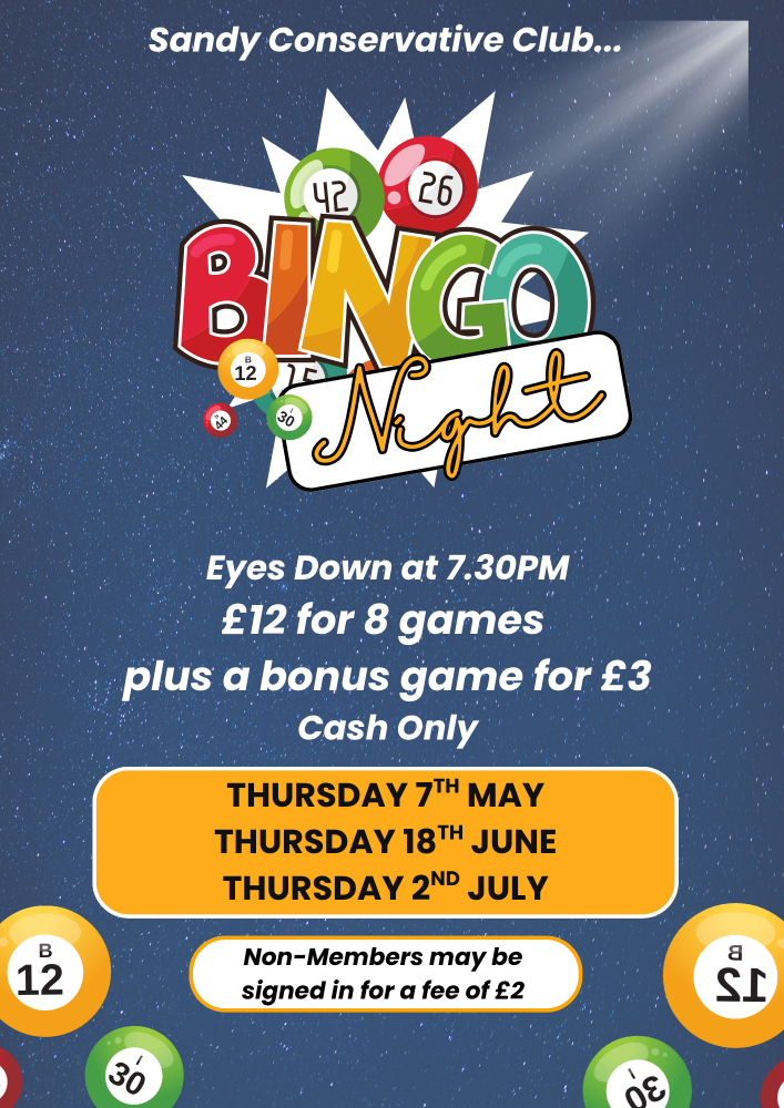 Navy and White Illustrative Bingo Night Flyer (5)