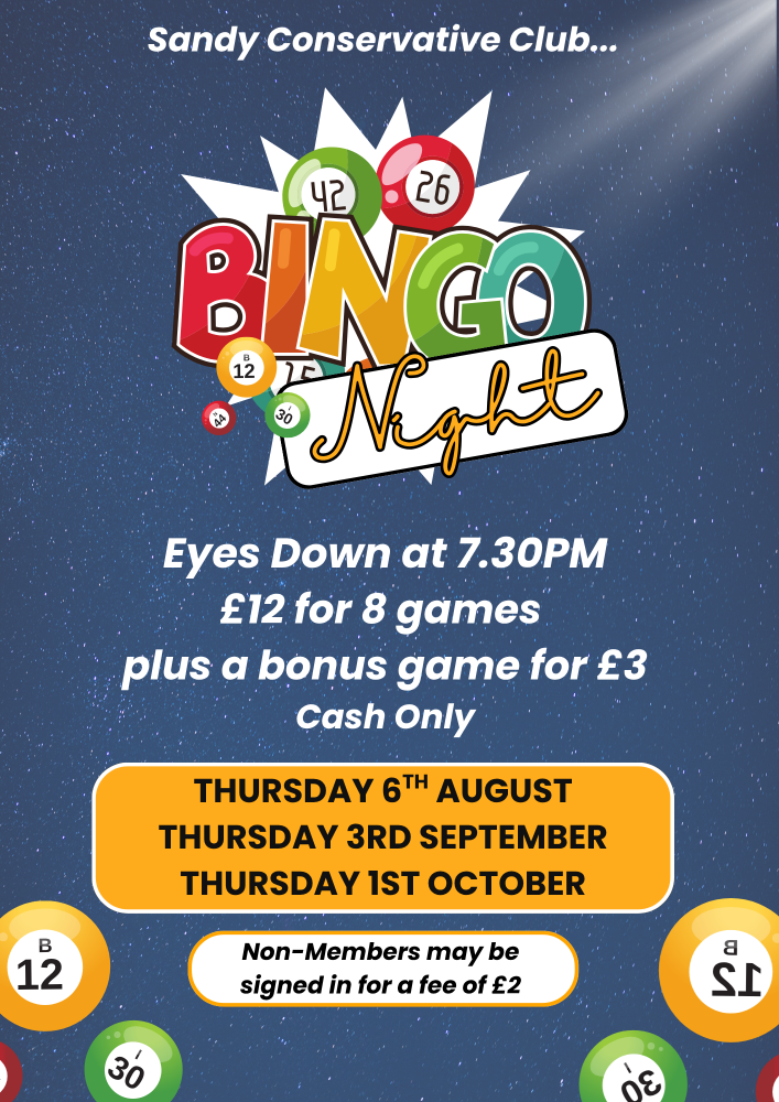 Navy and White Illustrative Bingo Night Flyer (6)