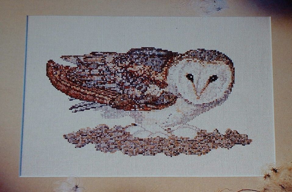 Nesting Barn Owl ~ Cross Stitch Chart