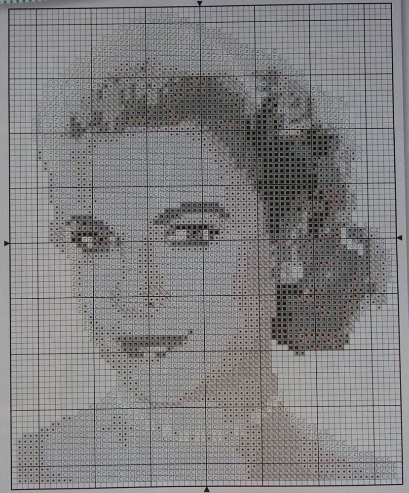 Hollywood Classic Actress: Grace Kelly ~ Cross Stitch Chart
