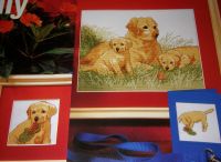 Labrador Dog Family ~ Cross Stitch Chart