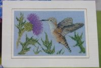 American Hummingbird ~ Cross Stitch Chart