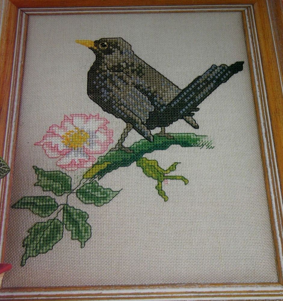 British Bird: The Blackbird ~ Cross Stitch Chart