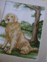Golden Labrador Retriever ~ Cross Stitch Chart