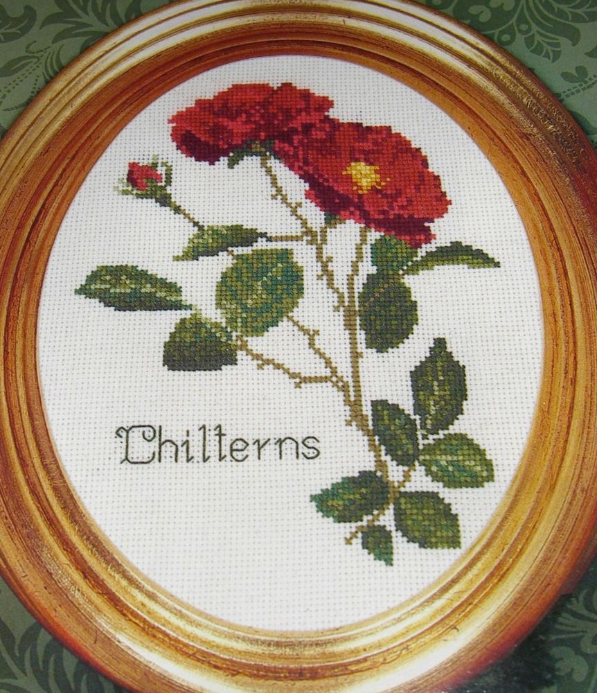 Chilterns Rose ~ Cross Stitch Chart