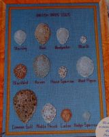 British Birds' Eggs Sampler ~ Cross Stitch Chart