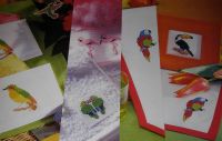 Six Exotic Bird Motifs ~ Cross Stitch charts