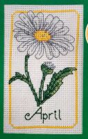 April Birthday Flower Card: Daisy ~ Cross Stitch Chart