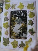 Ivy Leaf Picture Frame ~ Hand Embroidery Pattern