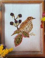 The Mistle Thrush ~ Cross Stitch Chart