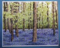 Bluebell Woodland ~ Cross Stitch Chart