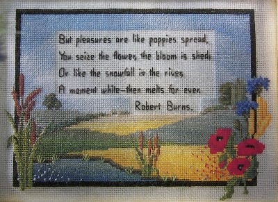 Pleasures Are Like Poppies: Robert Burns ~ Cross Sttich Chart