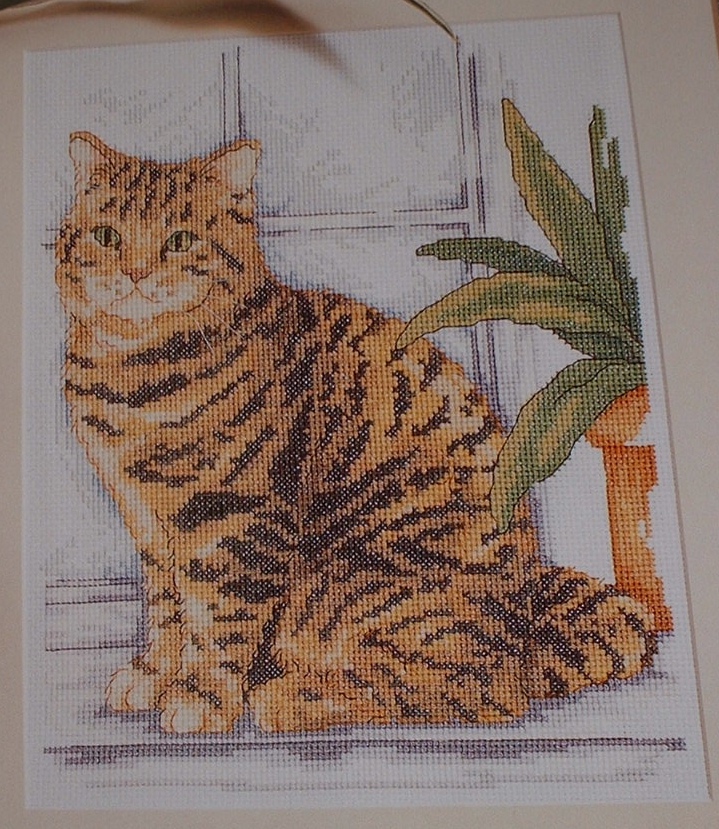 Limited Cat Cross Stitch Patterns Photos