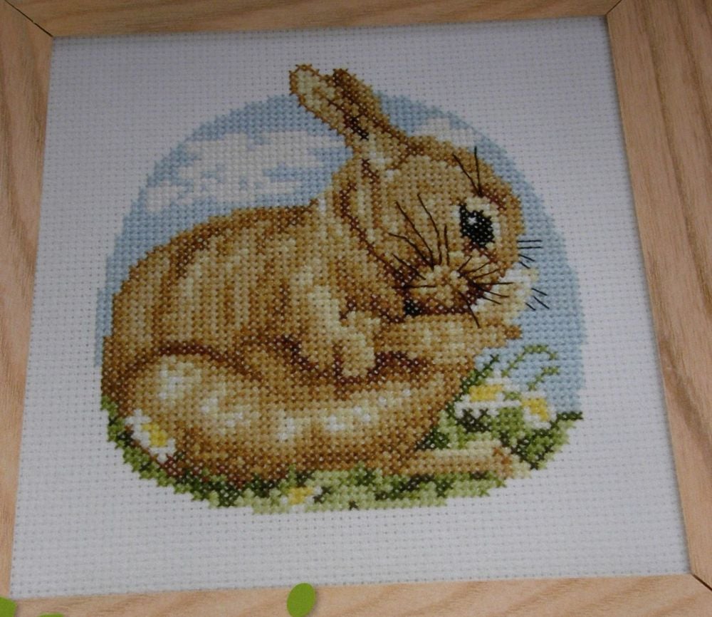 Spring Bunny Rabbit ~ Cross Stitch Chart