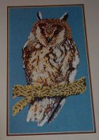 Long-Eared Owl ~ Cross Stitch Chart