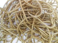 Gold metals and threads - Hand Embroidery supplies shipped