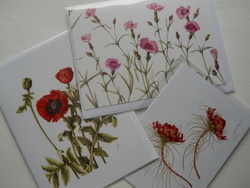 Botanical postcards