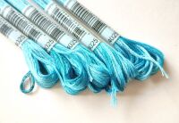DMC Mouliné Color Variations 4025 Turquoise
