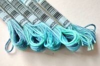 DMC Mouliné Color Variations 4030 Sea green